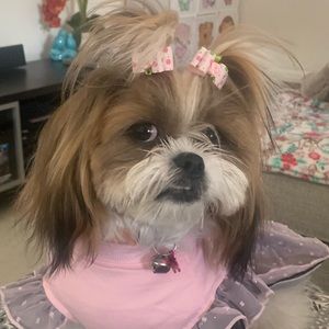 Meet your Posher, Sylvia